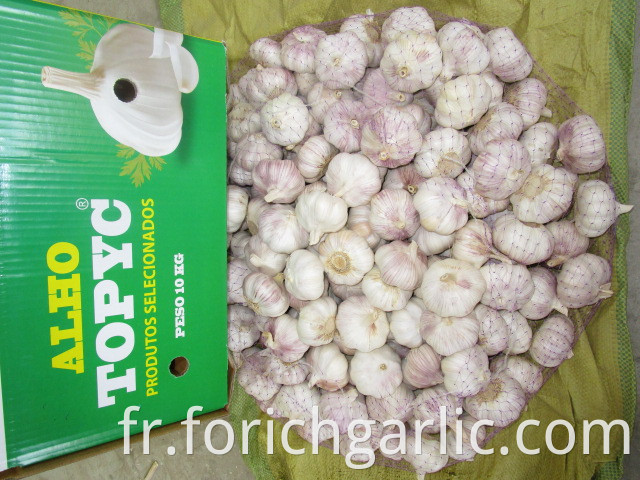 Normal White Garlic